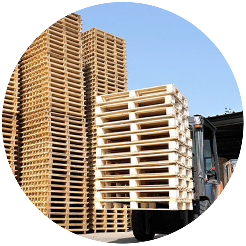 Cho thuê Pallet